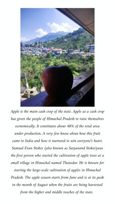 an apple sitting on top of a window sill in front of a lush green hillside