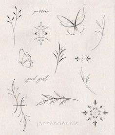 an image of flowers and butterflies drawn in ink on paper with the words i amendeniis written below it