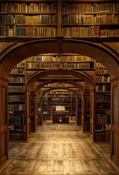 an arch in the middle of a library with bookshelves and shelves full of books