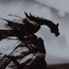 a black and white photo of a dragon on a rock