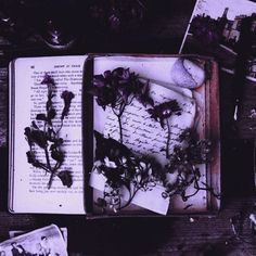 an open book sitting on top of a wooden table