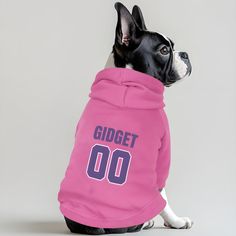 a black and white dog wearing a pink hoodie with the word gidget on it