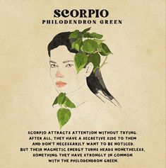 the cover art for scorpio's philoderron green album, featuring an image of a woman with leaves in her hair