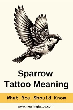 a bird flying through the air with text that reads sparrow tattoo meaning what you should know