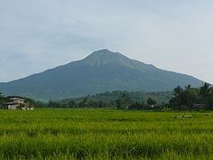 a lush green field with a mountain in the background