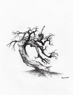 a drawing of a tree with no leaves