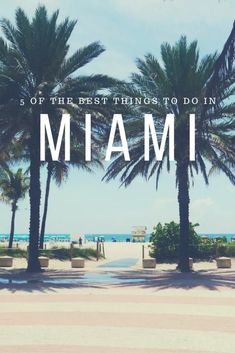 palm trees in front of the ocean with text that reads, 5 of the best things to do in miami