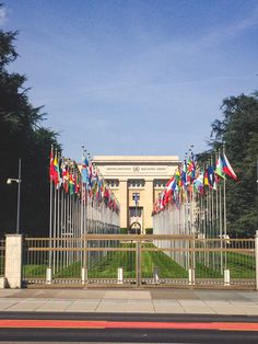 flags are flying in front of a gated entrance to a building that is surrounded by green grass and trees