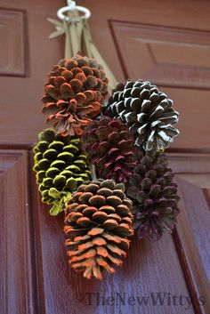 a bunch of pine cones hanging from a door