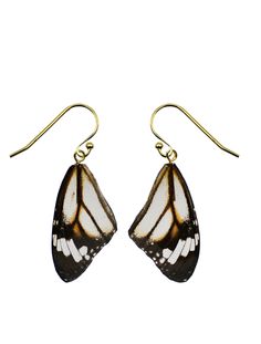 Real butterfly wings, delicately preserved in resin. Cruelty-free (keep reading)! These earrings are sold as a pair. Sterling silver or 14k plated sterling silver French hooks. These earrings are part of a circularity initiative we are taking in partnership with our orchid sanctuary in Thailand. The butterflies live in the sanctuary and pollinate the orchids, and at the end of their natural life cycles their wings are preserved. 100% cruelty-free and ethical. Please note that our earrings are ma Butterfly Live, Botanical Fashion, Real Butterfly Wings, Real Butterfly, Luxury Outerwear, Shrinky Dink, Recycled Leather, Natural Life, Butterfly Wings