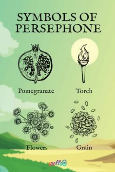 symbols of persephonee are shown in this graphic above it is an illustration of the four main types of persephonees