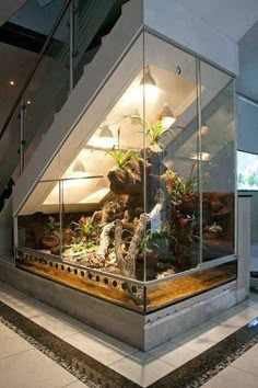 a very large fish tank in the corner of a room with some plants on it