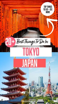 the top things to do in tokyo japan