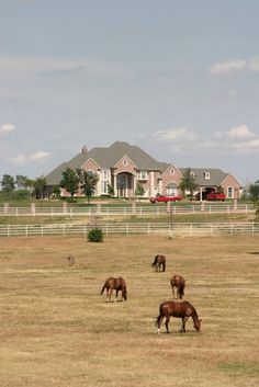 horses graze in an open field near a large house