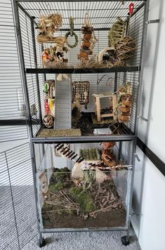 a cage filled with lots of different types of birds and other things on top of it