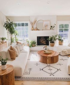 a living room filled with furniture and plants