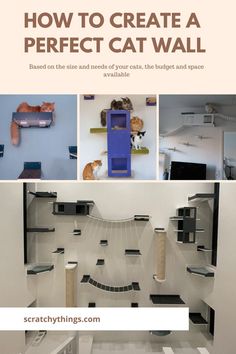 A guide how to pick the right cat furniture for your home and cat's needs Cat Wall Layout, Cat Wall Design, Diy Cat Tree Wall, Cat Shelves Ideas, Cat Wall Shelves Design, Diy Cat Wall Shelves Small Spaces, Cat Wall Boxes Diy, Cat Wall Furniture Ideas, Cat Wall Shelves Living Room