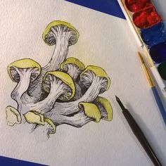 a drawing of mushrooms on paper next to paintbrushes