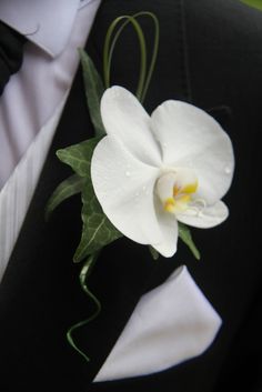 a white flower is attached to the lapel of a black suit with green leaves