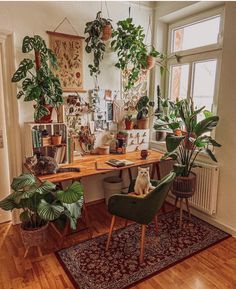 a cat sitting on a green chair in front of a desk with potted plants