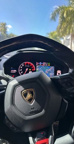 the steering wheel and dashboard of a sports car with palm trees in the back ground