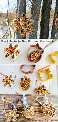 bird feeders made out of birdseed are shown in three different pictures, including one with