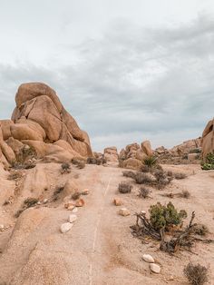 a dirt road surrounded by rocks and plants