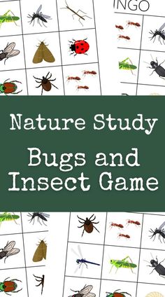 printable insect game boards with colorful images of bugs overlapping with a dark green rectangle in the middle with white text overlay. Nature Bingo, Bingo Free Printable, Insect Activities, Science Lesson, Science Lesson Plans