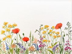 a watercolor painting of wildflowers and daisies on a white paper background