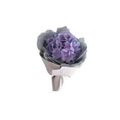 a bouquet of purple flowers on a white background