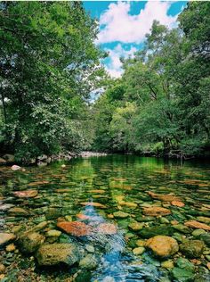 the river is full of rocks and green trees