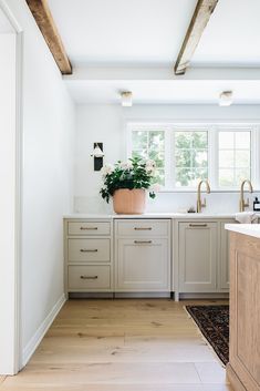 a kitchen with white walls and wooden floors has a potted plant on the counter