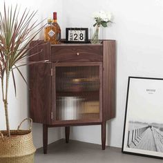 a wooden cabinet sitting next to a potted plant on top of a table in a room