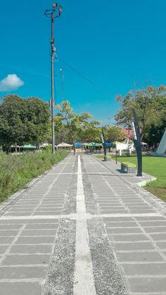 an empty paved road in the middle of a park