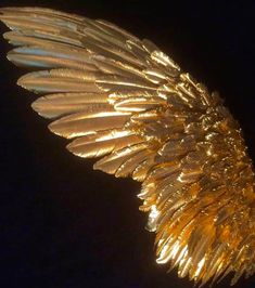 a gold colored feather on a black background