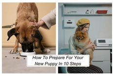 two pictures, one with a dog and the other with a woman holding a puppy