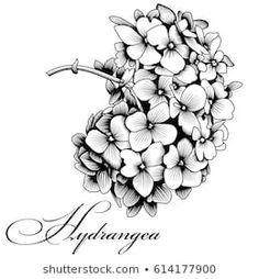 a bouquet of flowers on a white background with the words, affrancea