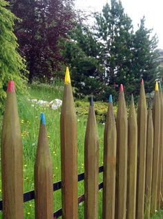 a row of wooden pencils sitting on top of a grass covered field next to a fence