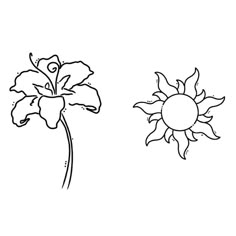 two flowers are shown in black and white, one has a sun on the other side