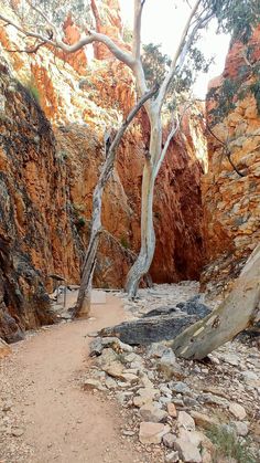 there is a trail going through the canyon