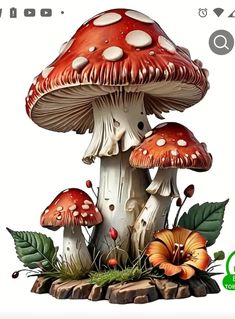 a group of mushrooms sitting on top of a lush green field