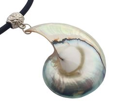 PRICES MAY VARY. This beautiful Nautilus Shell Necklace features a pendant of open Nautilus Shell. Its Mother of Pearl is skilfully polished giving it a lovely silver detailing and a lustrous quality. The Nautilus Necklace is held by an attractive black cord that is adjustable for your perfect fit. Enjoy this necklace in any parties as well as on Halloween as Ursula Necklace, Cosplay/Costume Conch Shell Necklace, Ursula costume Necklace! Shell Type: Nautilus Shell Necklace Length: 16 to 32 inch Nautilus Necklace, Ursula Necklace, Ursula Costume, Necklace Shell, Costume Necklace, Nautilus Shell, Costume Necklaces, Mother Of Pearl Necklace, Conch Shell