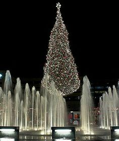 a large christmas tree is lit up in front of a fountain with lights and water