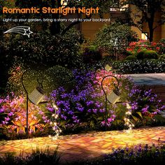 an image of a garden with flowers and lights