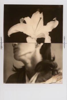 two photographs of a woman's face with a flower in her hair, and the image is black and white