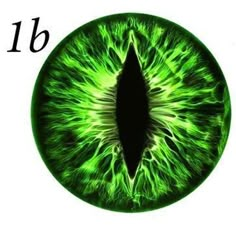 an image of the green cat's eye with words below it that read 1 / 6