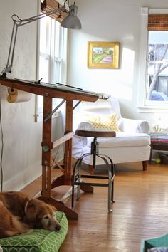 a brown dog laying on top of a green bed in a living room next to a window