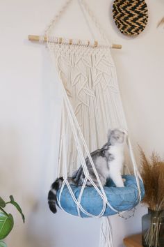 a cat is sitting in a hammock hanging on the wall next to a potted plant