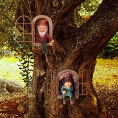 two gnomes are sitting in the window of a tree