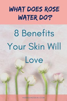 rose water skin benefits, rose water toner, how to make rose water, soothe skin, hydrate skin, skin care products, herbs for skin, herbsandskin.com via @herbsandskin Herbs For Skin, Benefits Of Rose Water, Make Rose Water, Rose Water Toner, Skin Care Routine For 20s, How To Make Rose, Natural Cleanser, Natural Skin Care Routine, Skin Care Remedies